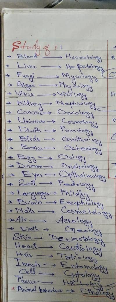 assignment writing