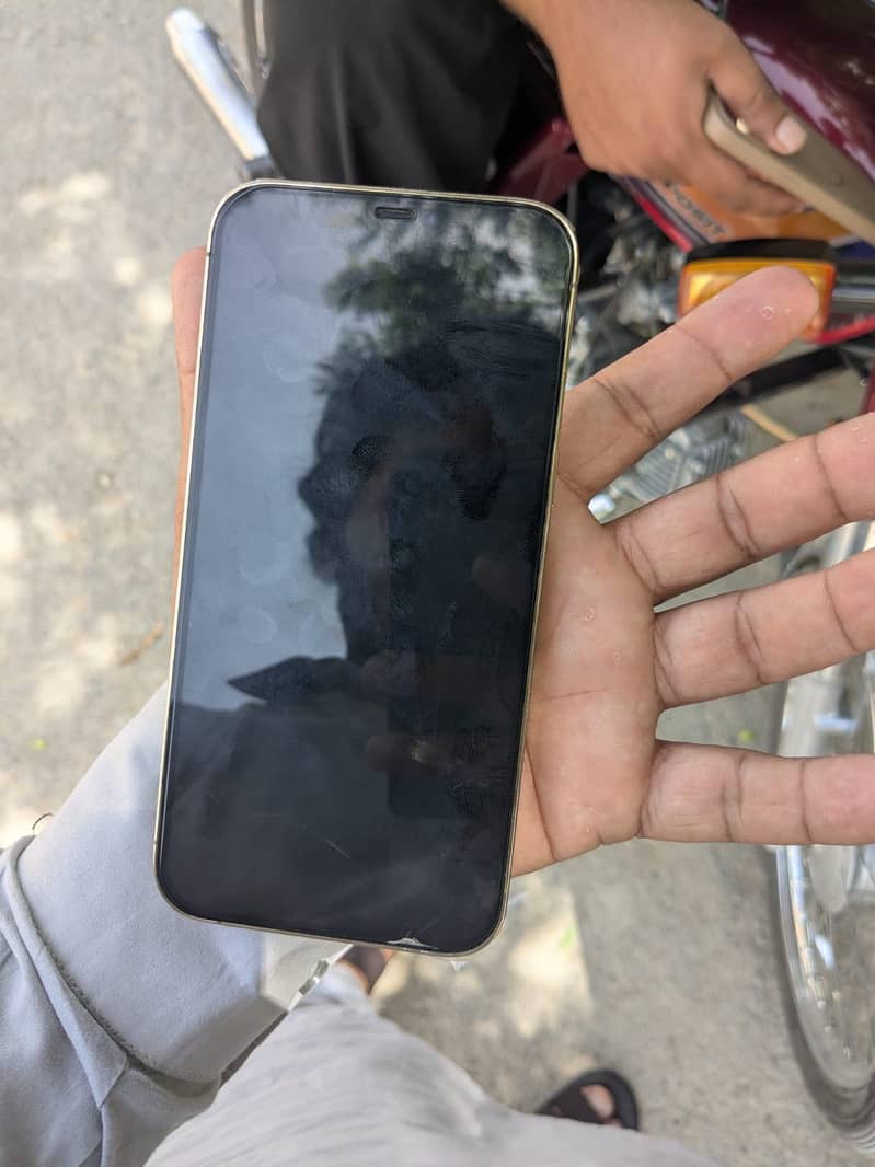 Apple iPhone 12 Pro Max 1