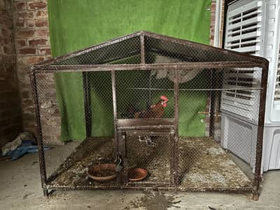 Cage for sale  | pinjra
