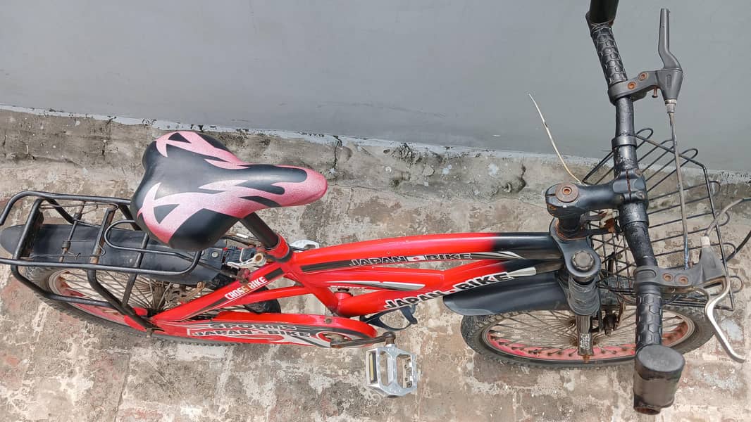 Red Cycle 1