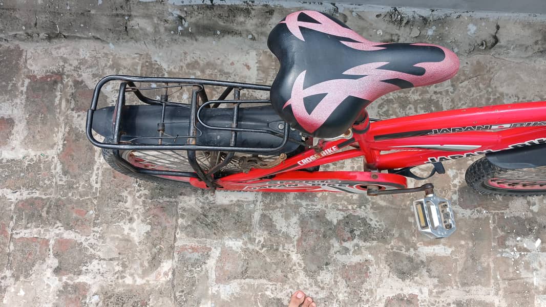 Red Cycle 3