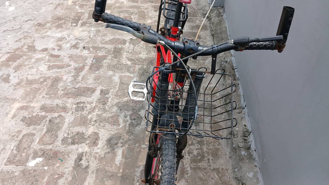 Red Cycle 4