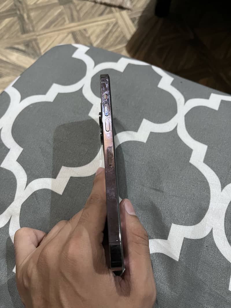 Apple iPhone 14 Pro Max 2