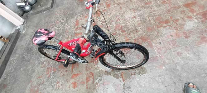 Lion King Sports Bicycle for Sale