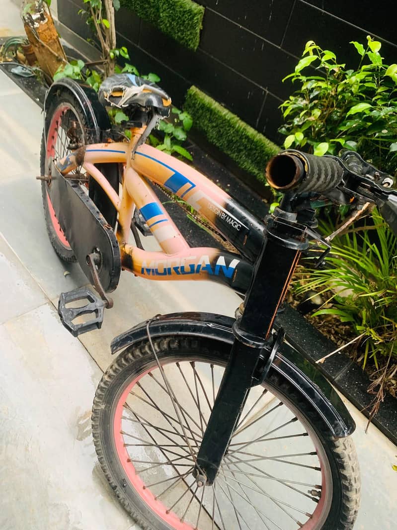 Morgan cycle 4