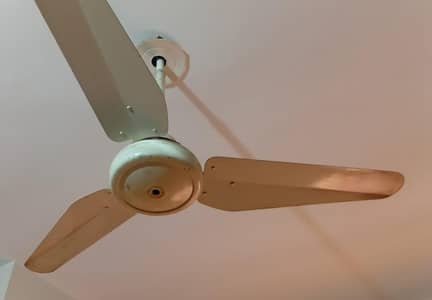 fans r good n running condition