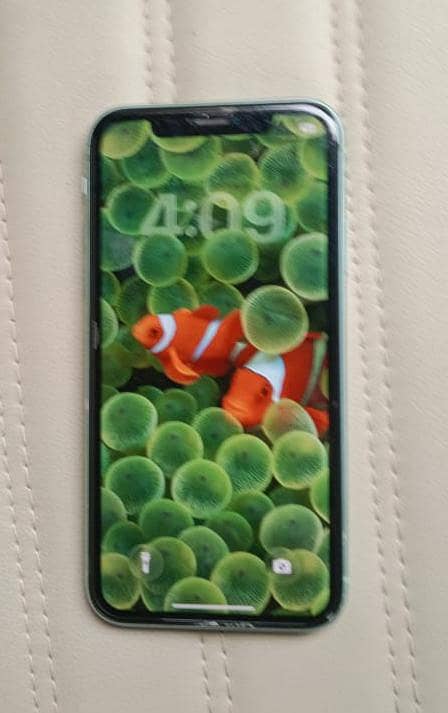 Apple iPhone 11 4