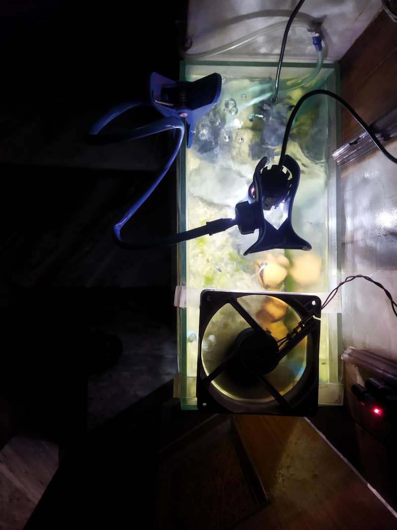 Guppies full setup 3