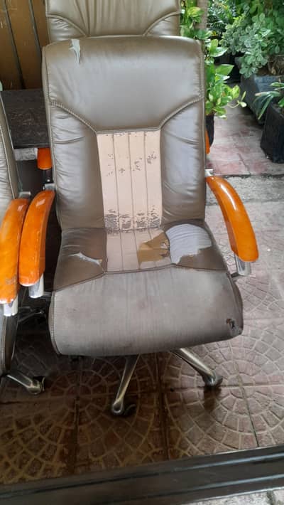 sofa and chairs