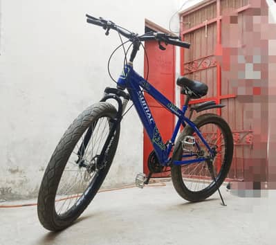 Mountain Bike