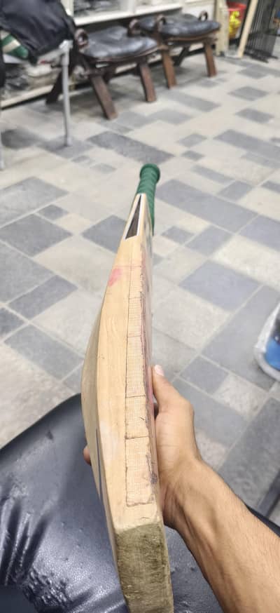 Cricket Bat