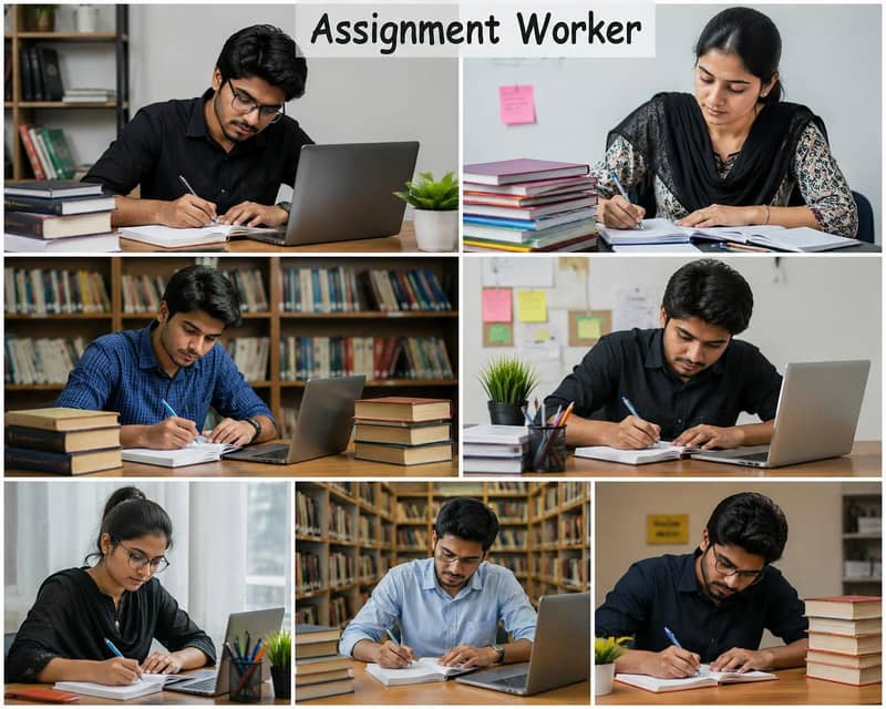 assignment writer 0