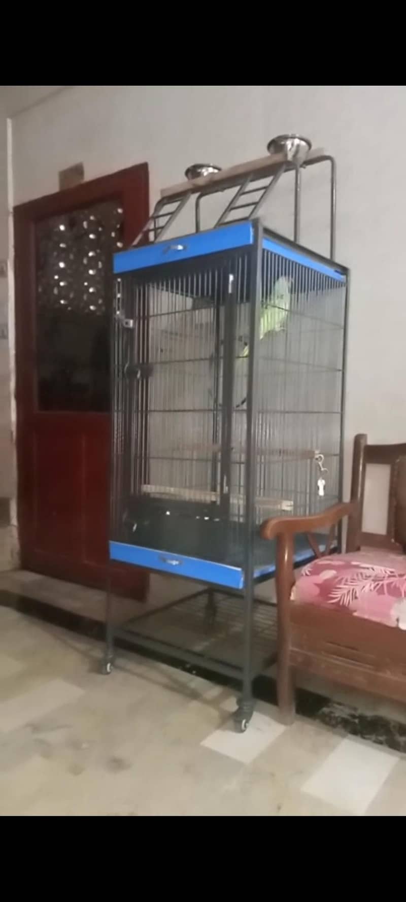 bird cage 4