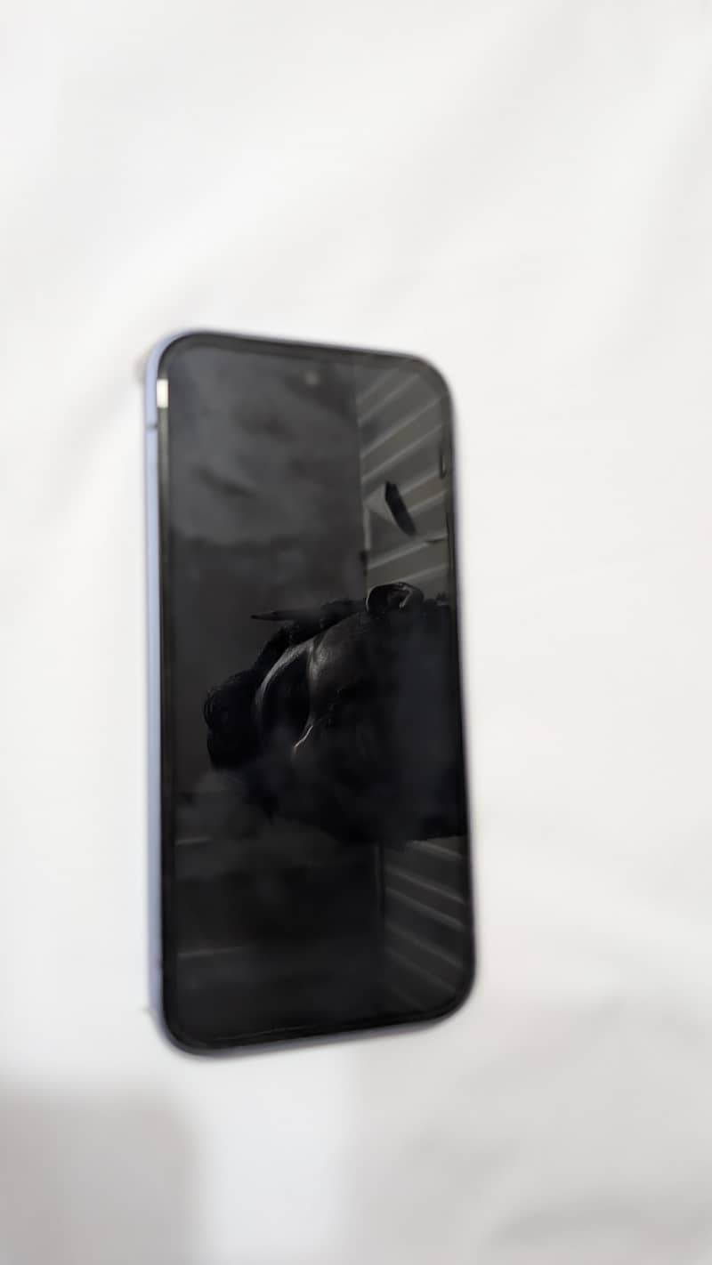 Google Other Model 2
