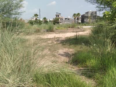 Pair Commercial Plot for Sale in Zamar Valley