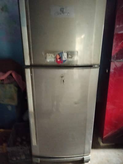 Downlace Refrigerater call what's ap 03133187913