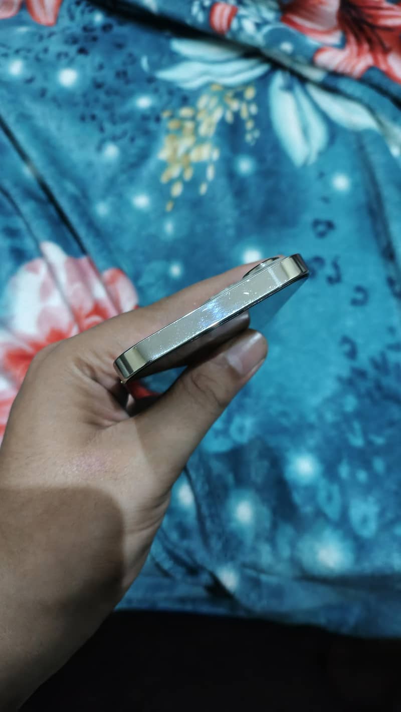 Apple iPhone 13 Pro 1