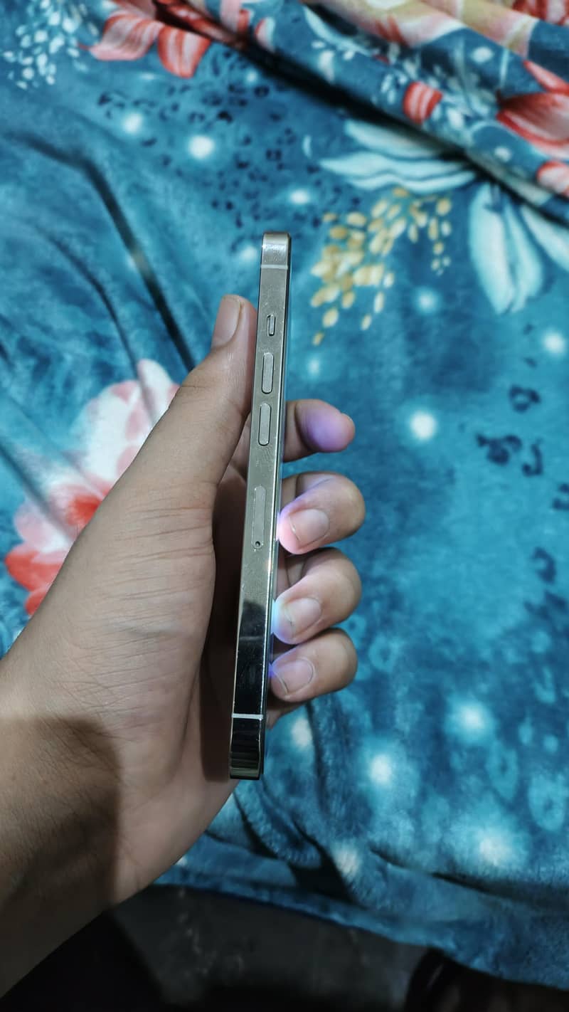 Apple iPhone 13 Pro 2