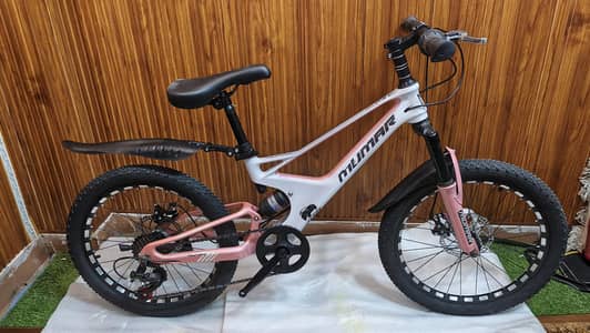 20-inch Aluminum Full-Suspension Bicycle