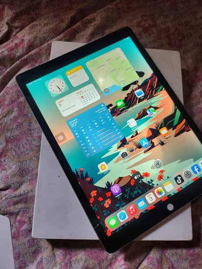ipad Pro