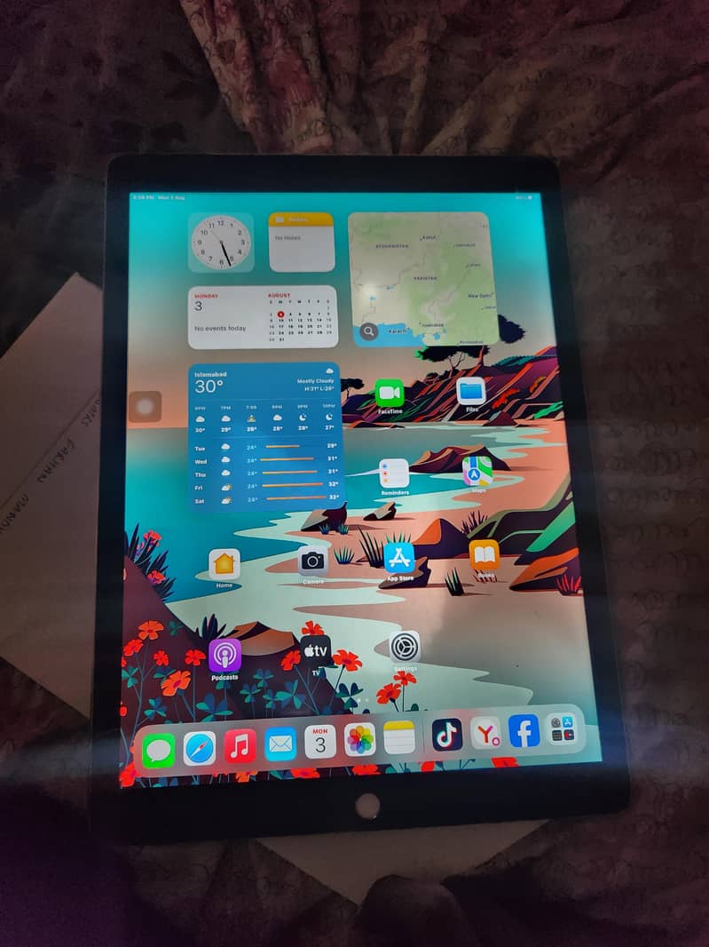 ipad Pro 4