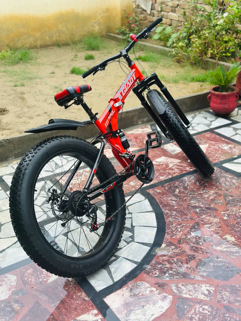 bicycle 1
