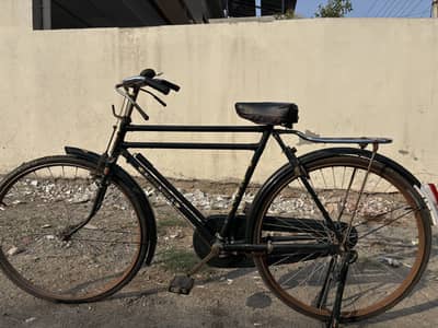 Flying horse china cycle