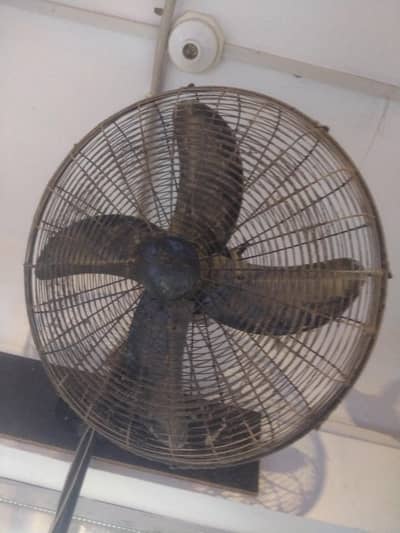 Rado Fan