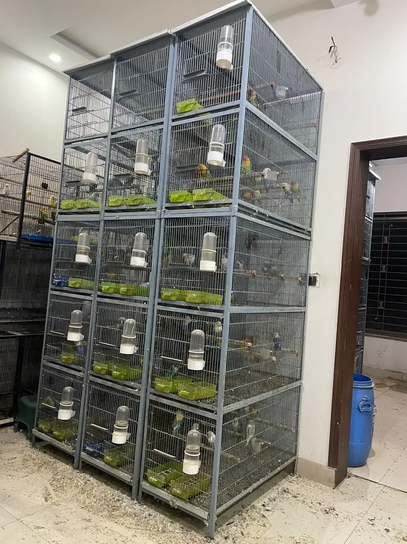 Cage for sale — photo 4