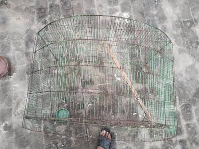 cage for sale