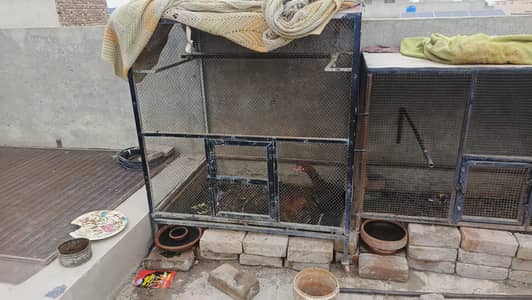 Heavy Duty Iron Cage / Pinjra for Hens, Birds & Rabbits (Big Size)