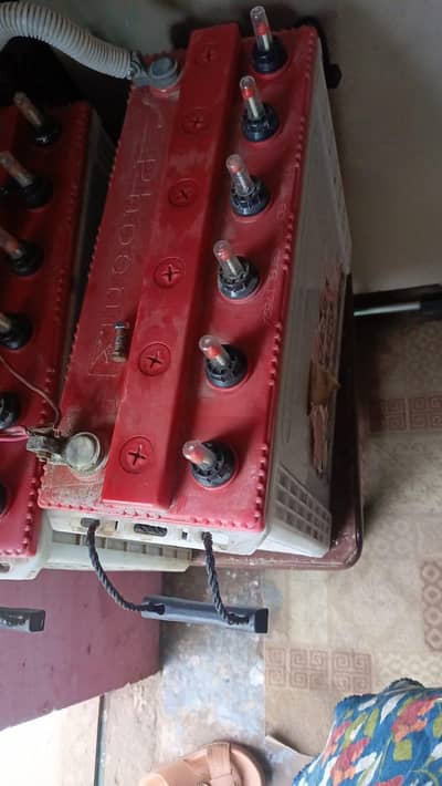 2500foniks