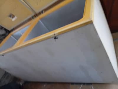 deep freezer for sal