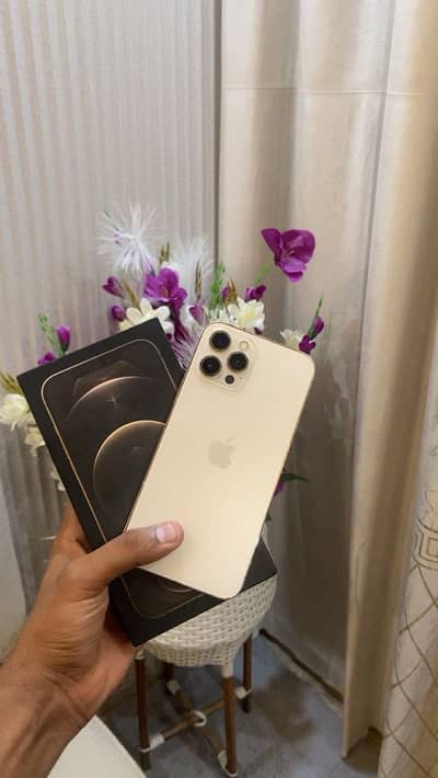 Apple iPhone 12 Pro Max