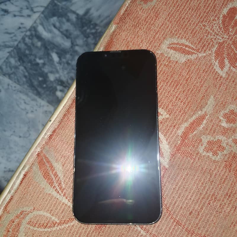 Apple iPhone 13 Pro Max 0