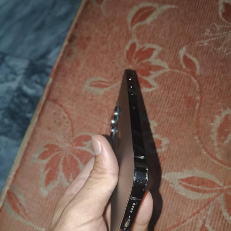 Apple iPhone 13 Pro Max 3