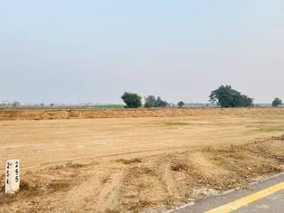 4 Kanal Chinar Court Farm House Plot Available For Sale Near Adda Plot Chinar Court