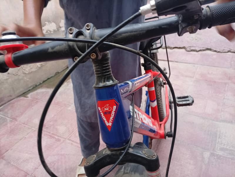 china cycle 1