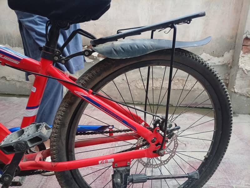 china cycle 5