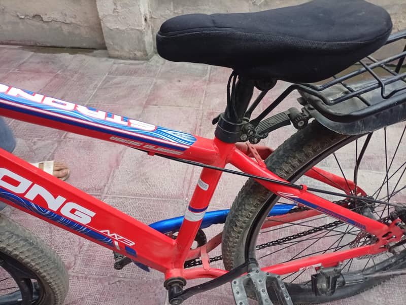 china cycle 6