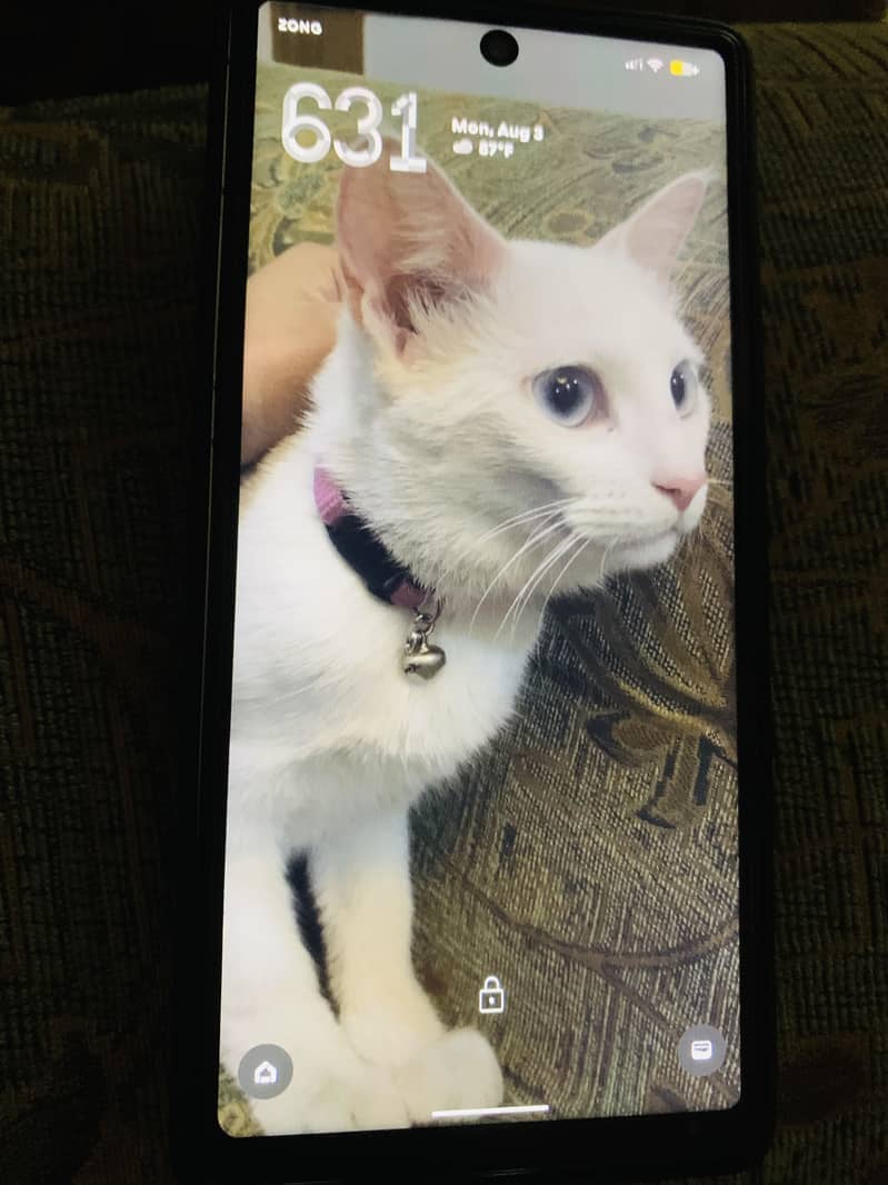 Mobile 1