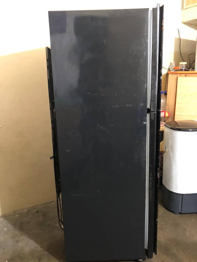 frige 2