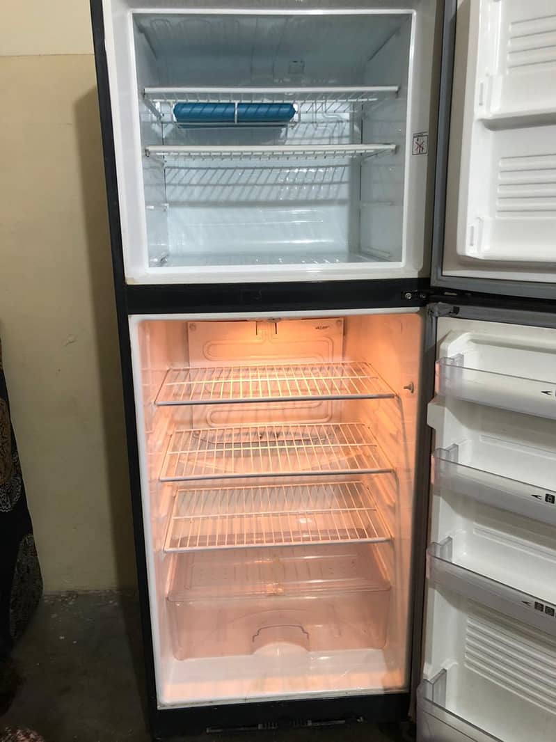 frige 5
