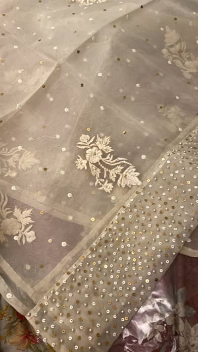 organza embroided dup with hand embelishment