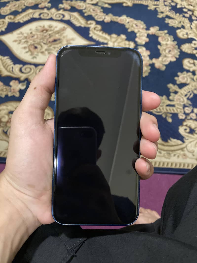 Apple iPhone 12 1