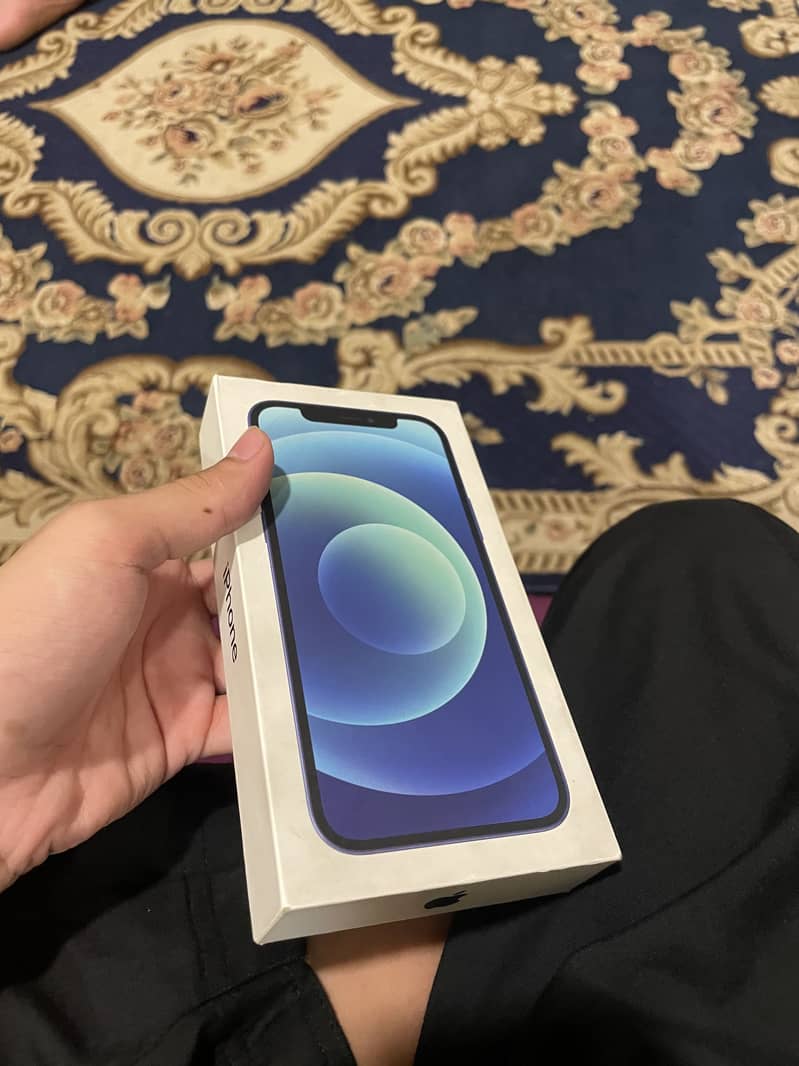 Apple iPhone 12 5