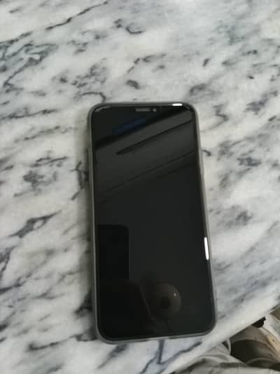Apple iPhone X