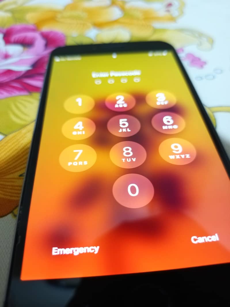 Apple iPhone 6 Plus 1