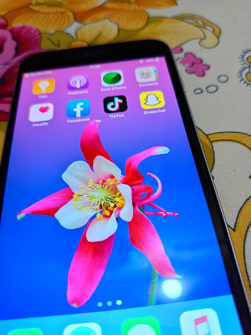 Apple iPhone 6 Plus 3