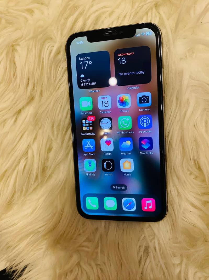 Apple iPhone X 10
